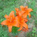 양각산장 이미지