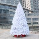 풍성한빌딩 이미지