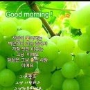 행복한아침