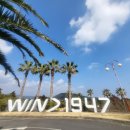 1947 | 제주 서귀포 윈드1947 카트 후기｜제주투어패스로 25,000원 → 12,000원 할인 체험