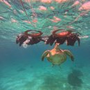 K CARE(케이케어) | 보홀 호핑투어 업체 추천 처음부터 끝까지 저세상 텐션의 가이드들:케이호핑 (K-Hopping) 내돈내산 후기