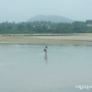 해비치풍경 이미지