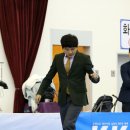 올리브 애견 이미지