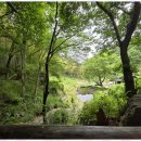 나를 찾아 떠나는 심리여행 이미지