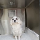 신성동물병원 이미지