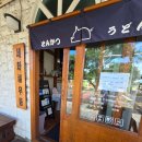 세화복우동 | [제주도 맛집 후기] 세화복우동에서 먹은 우동 세트와 튀김 🍤