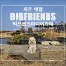 제주애월 애견동반 빅프렌즈미디어카페 초대형잔디마당