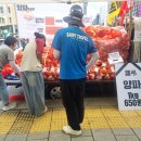 양파 1kg 650원·참외 1kg 800원... 광화문서 ‘초저가 농산물 장터’ 열린 이유 ㅡ 농산물 가격의 비밀? 이미지