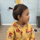 도란도란언어심리발달센터 | 파주 아동발달센터 추천, 파주 언어치료 고민된다면 도토리심리발달센터 방문 후기