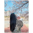 조희정미용실 - 군산시 월명로 496 | 청주 동남지구 미용실 미용가에서 투톤염색