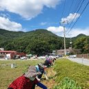 화산면행정복지센터 이미지