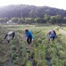 대장이랜드마을 이미지