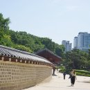 종묘앞공원에서 세운상가와 청계상가로 한바퀴 돌아보며 (2024.5.14.화) 이미지