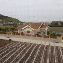 아리울천국 이미지