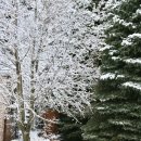 풍경스케치(주간) 이미지