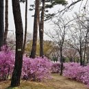 수원시 체육회주변 이미지