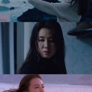 천화 이미지
