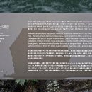 제주 천지연 난대림 이미지