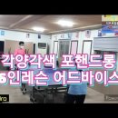 마포사랑탁구클럽