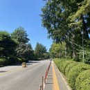 서울대학교 농업생명과학대학