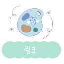 카페마카 이미지