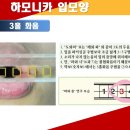 56.3도 화음 -환희의 송가G120-90, 120. C 이미지