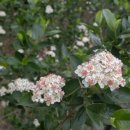 박종애농장 이미지