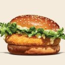 포화로 817 이미지