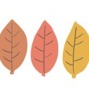 펫츠가든 이미지