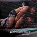 (주)정다운 이미지