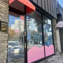 버블리 | 마산 푸들 스포팅 댓거리애견미용실 버블리 내돈내산 후기