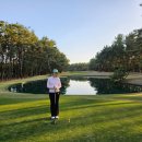 골프 9 | 일본 미야자키 골프 여행, 톰왓슨 야간 9홀 라운딩 솔직 후기