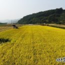 대요농장 이미지