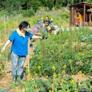 양천도시농업공원 이미지