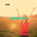 푸른감(푸른感) 이미지