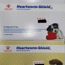 온누리대림약국 이미지