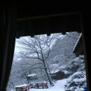 고운동아침 티스토리