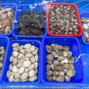 춘향이네 이미지