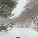 유영목장 이미지