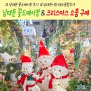 화사한 생화 꽃바구니 만들기 | 남대문시장 꽃시장 대도종합상가 도매가격 꽃구매 및 크리스마스 소품 구매 후기