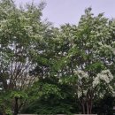 오월이네 이미지