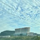 25 | 전남 고흥 썬밸리리조트 스탠다드 25평 미취사 후기
