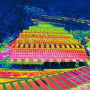 서우 태양광발전소 이미지