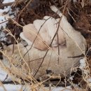 마음따뜻한방병원 이미지