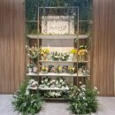 호텔 이룸 | 공덕 이룸웨딩컨벤션 견적 공유｜투어 후기, 단독홀·어두운홀·뷔페·주차 (2027 상반기)