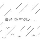 고향맛돈 이미지