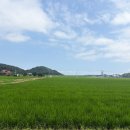 명수목장 네이버블로그