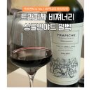 아르헨티나 와인 트라피체 비져너리 싱글빈야드 말벡 2017