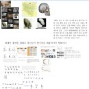 해아자 소두 무족 생아자. 궁궁을 전전도하지 사진 갖고 설명 2020년 3월 21일 10시 18분 업로드 날짜. 이미지