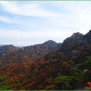 속리산 - 성남시 중원구 시민로117번길 2 | 속리산